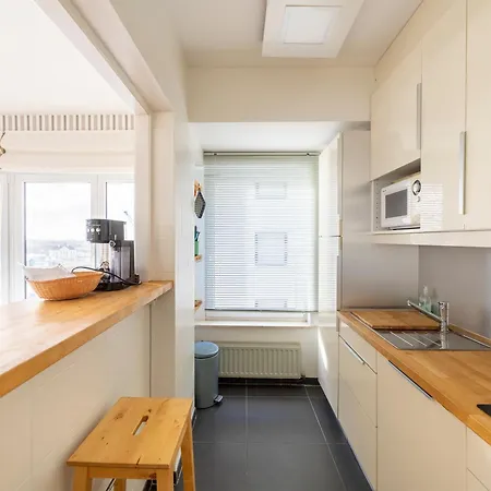Zeemeeuw 6h * Blankenberge